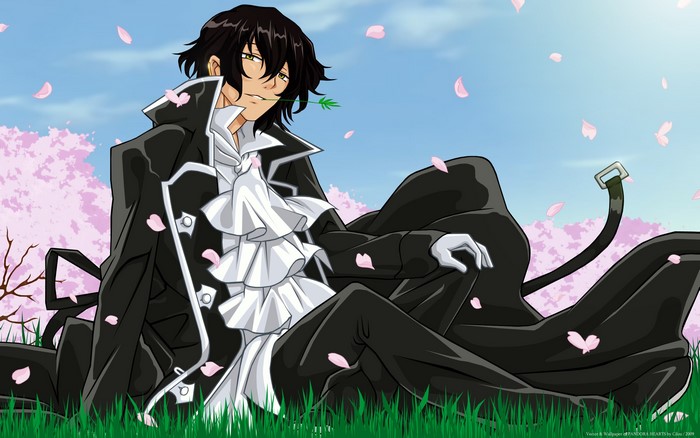 Oz Vessalius from Pandora Hearts sitting in a field