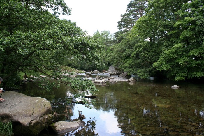 River flowing through a forest with large rocks