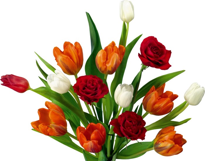 Bouquet of red roses and orange and white tulips