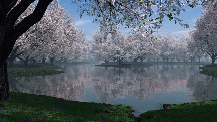 A tranquil lake surrounded by blooming cherry trees