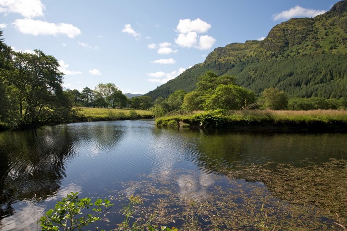 River flowing through a green landscape with mountains