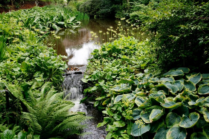 A small waterfall flows into a pond surrounded by lush greenery
