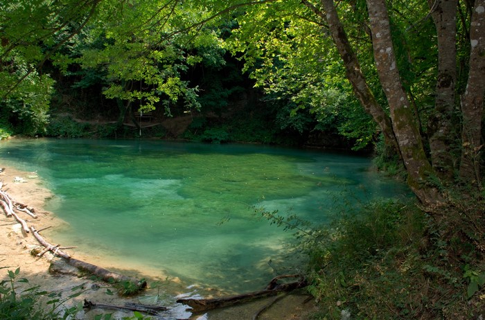 Turquoise river flowing through a lush green forest