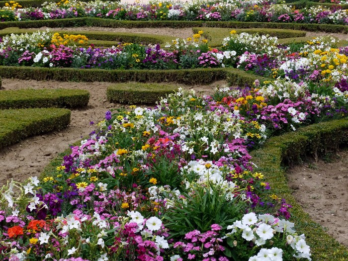 A formal garden with manicured hedges and colorful flower beds