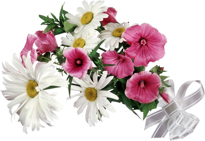 Bouquet of Daisies and Pink Flowers with Ribbon