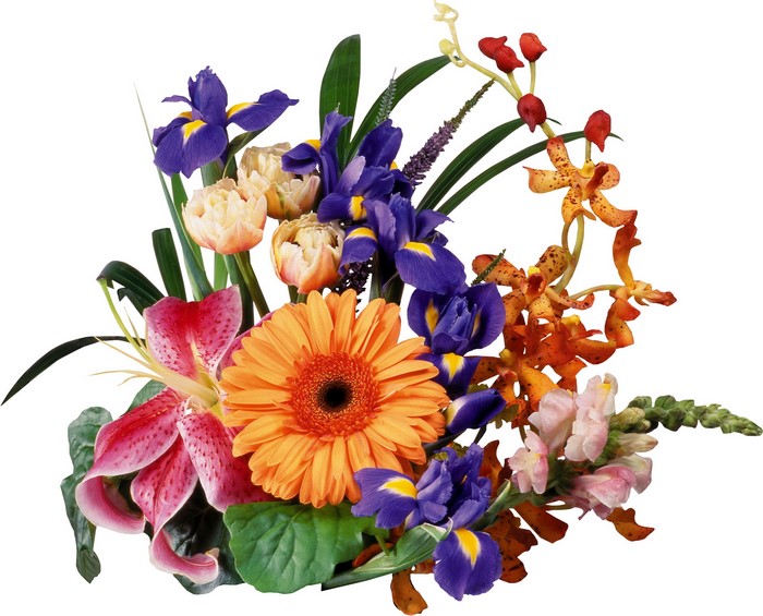 A colorful bouquet of assorted flowers