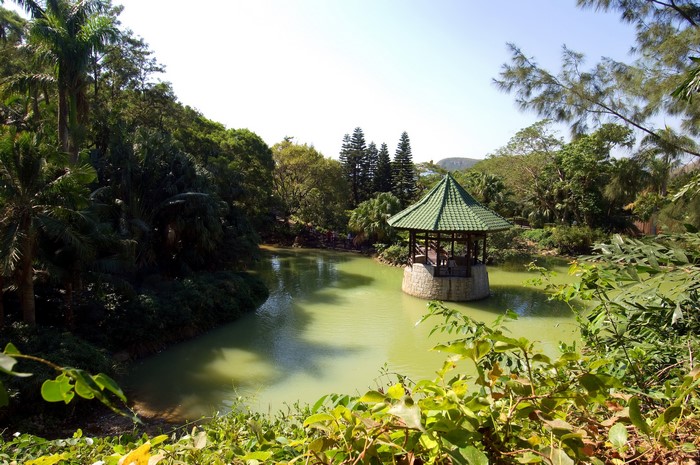 Gazebo in a park pond surrounded by trees