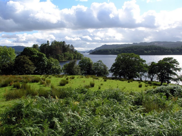 Lake with Trees and Clouds