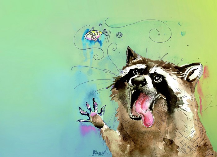 Raccoon reaching for a fish