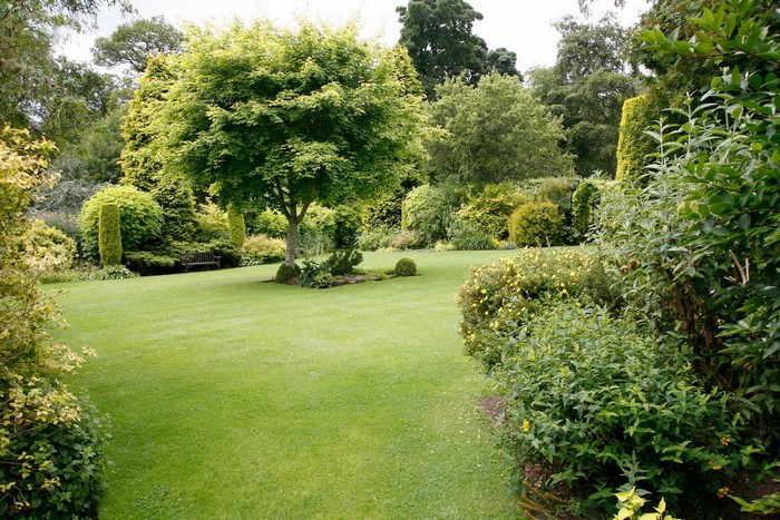 Garden landscape with manicured lawn and trees