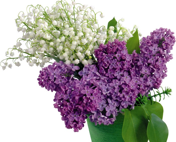 Bouquet of Lilacs and Lily of the Valley