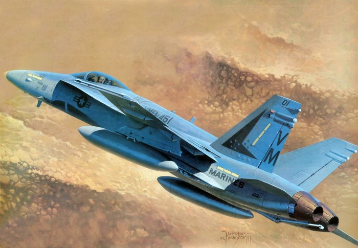 FA-18 Hornet Marine Aircraft Painting