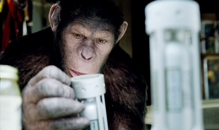 Caesar from Rise of the Planet of the Apes