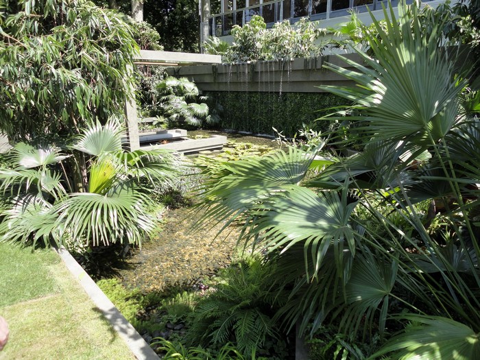 Tropical garden with pond and modern architecture