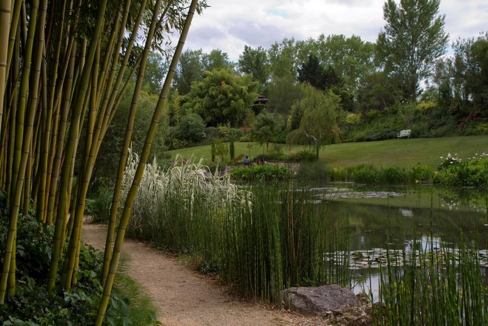 Bamboo path by a pond in a park