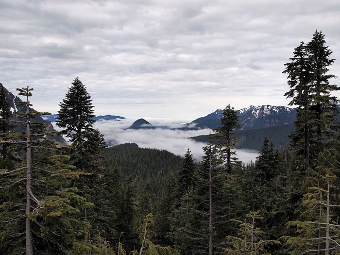 Mount Rainier National Park, Washington