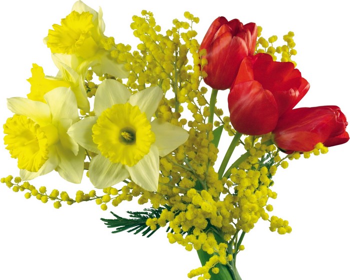 Bouquet of Daffodils, Tulips, and Mimosa