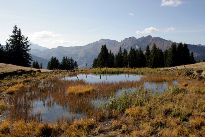 Mountain landscape with a pond in Switzerland