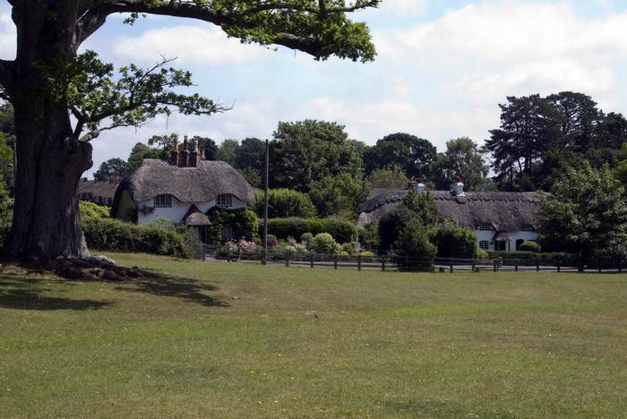 Thatched cottages in the United Kingdom countryside