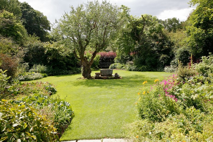 Garden with a stone well and a tree