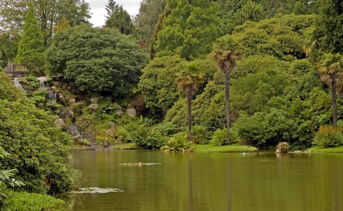 A park with a pond and a waterfall