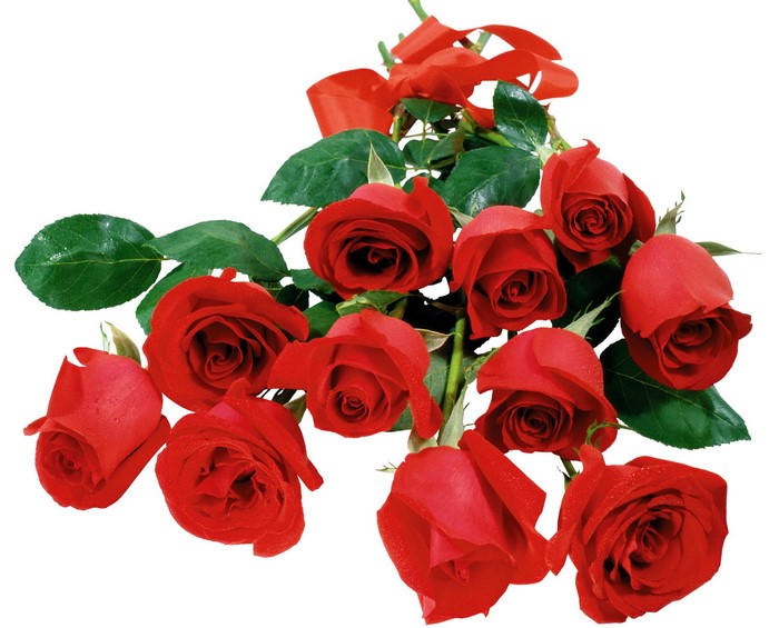 A bouquet of red roses with a ribbon