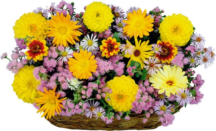Basket of colorful flowers