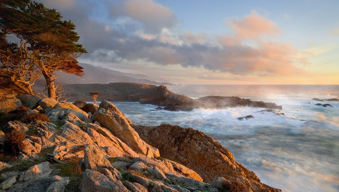 Rocky Coastline with Cypress Tree at Sunset