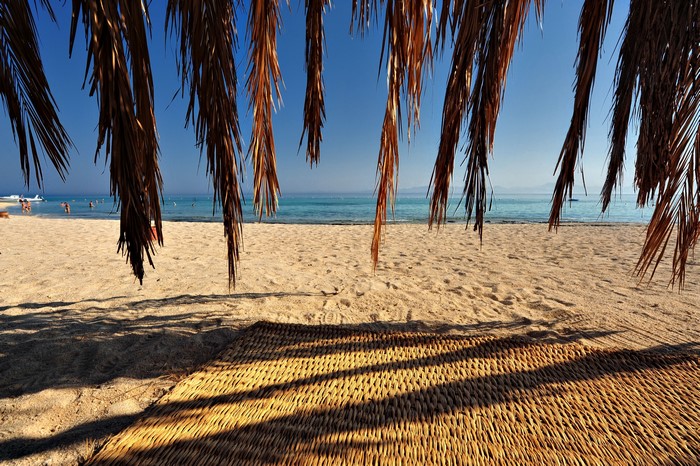 Beach with Palm Fronds and Ocean