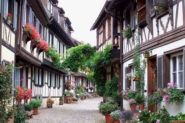 Half-timbered houses with flowers in a cobblestone alley