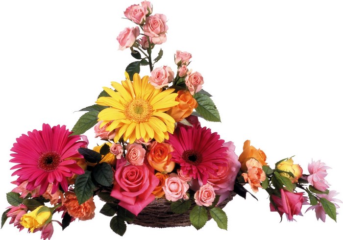 Colorful flower arrangement in a basket