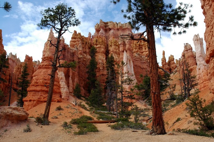 Bryce Canyon National Park Utah USA