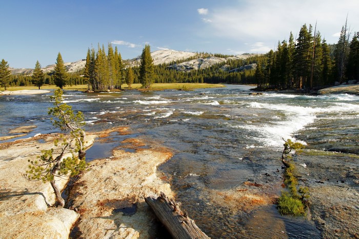 Tuolumne River in Yosemite National Park, California