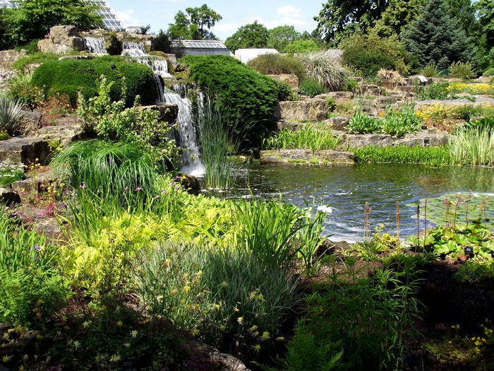 Rock garden with waterfalls and pond