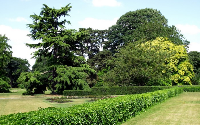 Park with trees and hedges