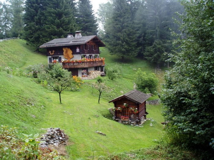 Alpine houses in a green mountain landscape