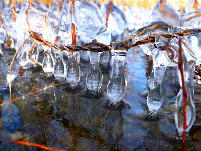 Icicles on grass and wire over water