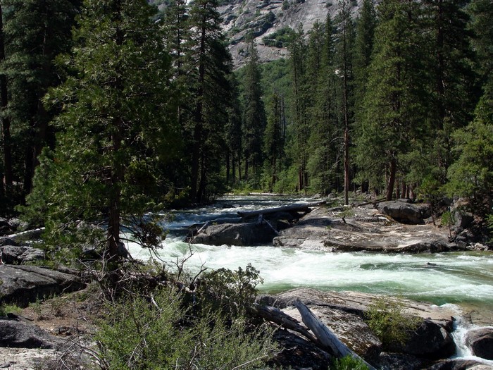 River flowing through Yosemite National Park, California