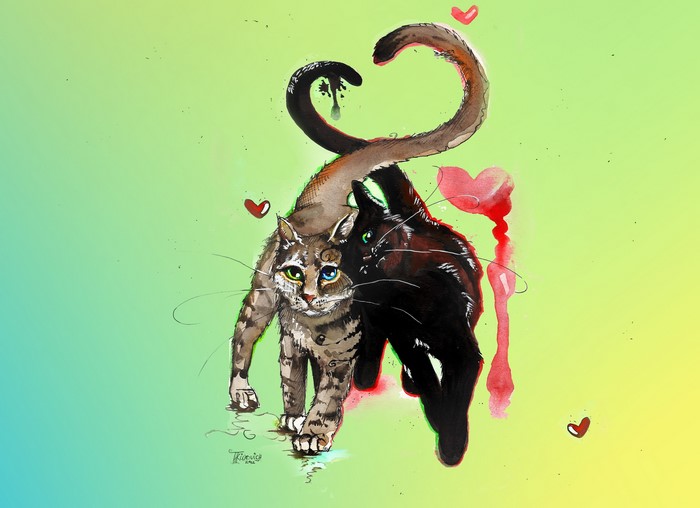 Two cats with tails forming a heart shape