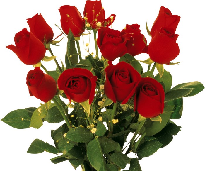 A bouquet of red roses