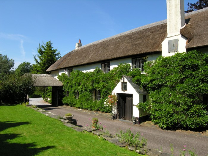Thatched cottage with ivy and a covered walkway in the UK