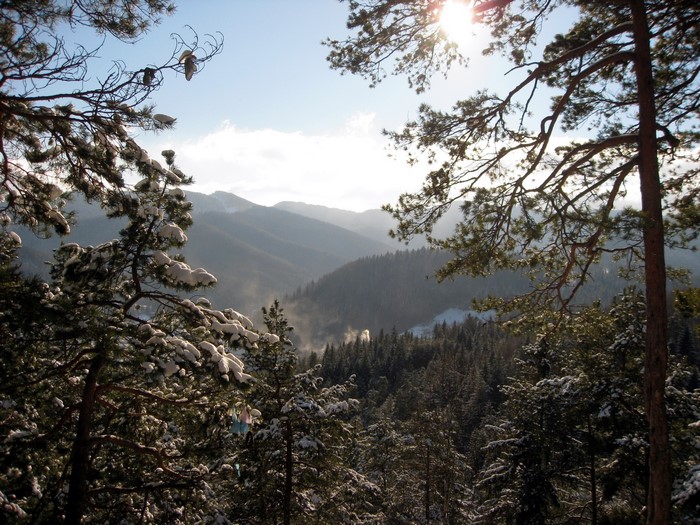 Snowy Mountains with Pine Trees and Sun