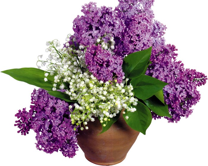 Bouquet of Lilacs and Lily of the Valley in a Pot