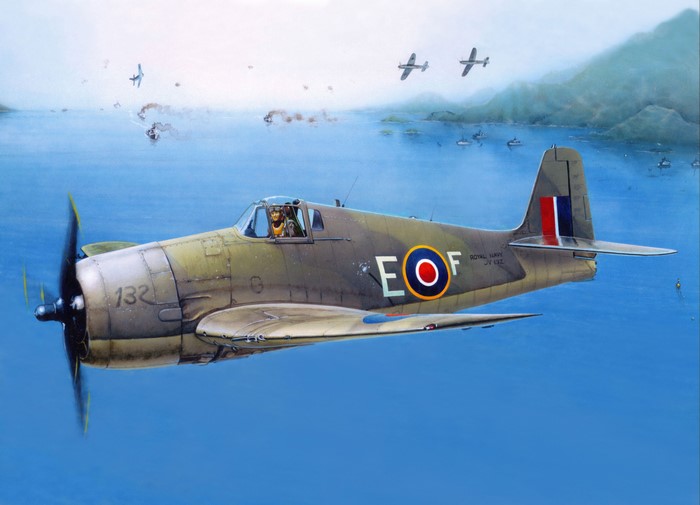 Painting of a Royal Navy Hellcat Mk.1 - Mk.2 Aircraft