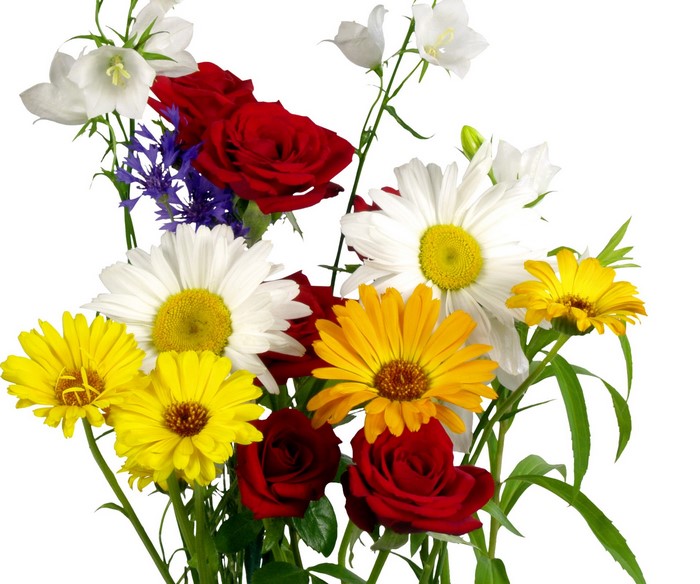Bouquet of red roses, daisies, and yellow flowers