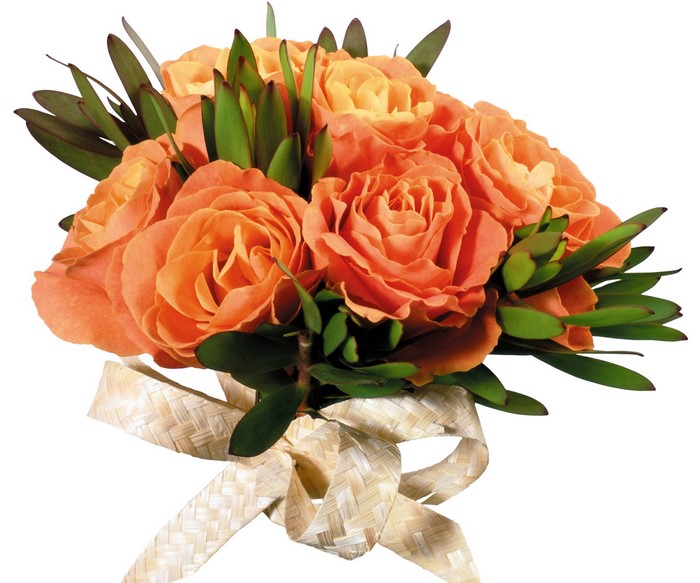 Bouquet of orange roses with green leaves and ribbon