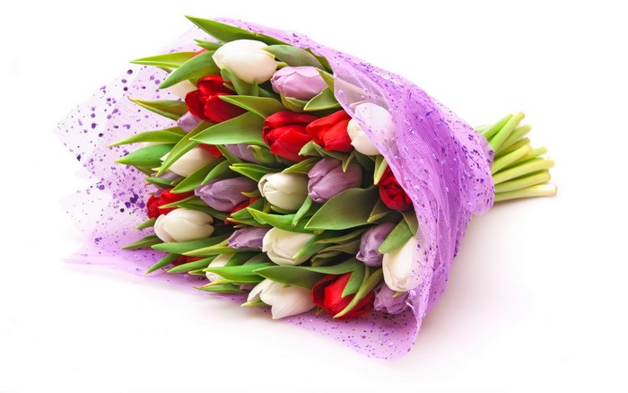 Bouquet of red, white, and purple tulips
