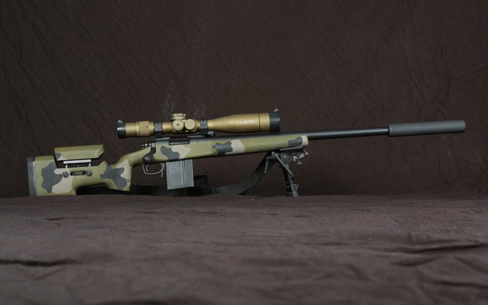 Sniper rifle with telescopic sight and suppressor