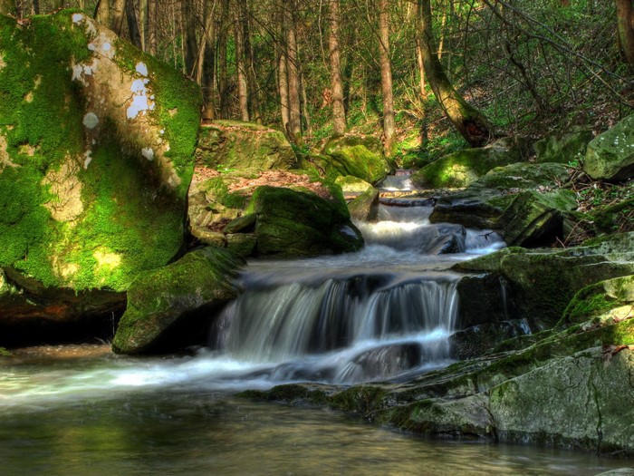 Mossy rocks and a waterfall in a forest
