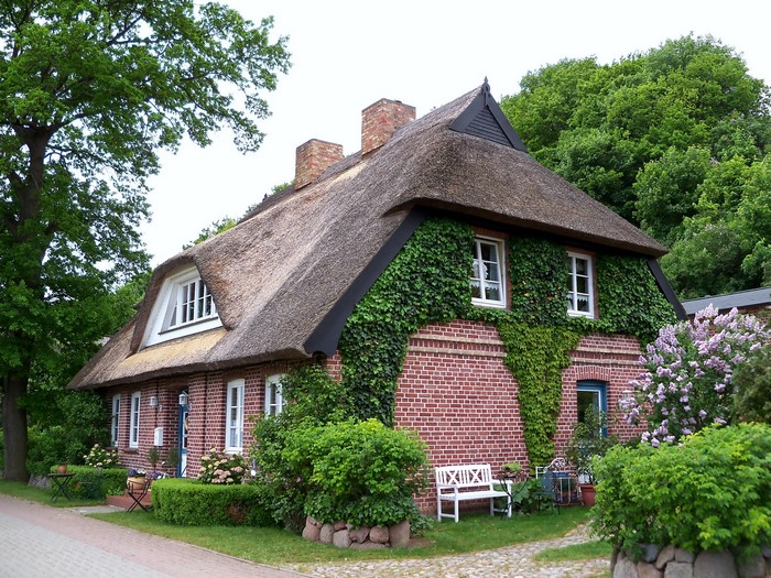 Thatched roof house in Germany with ivy and garden